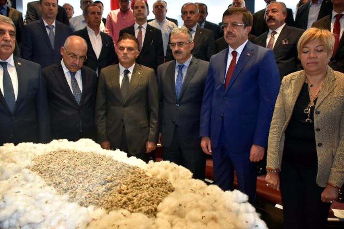 Ekonomi Bakanı Zeybekci, Pamuğun İlk Ürün Törenine Katıldı