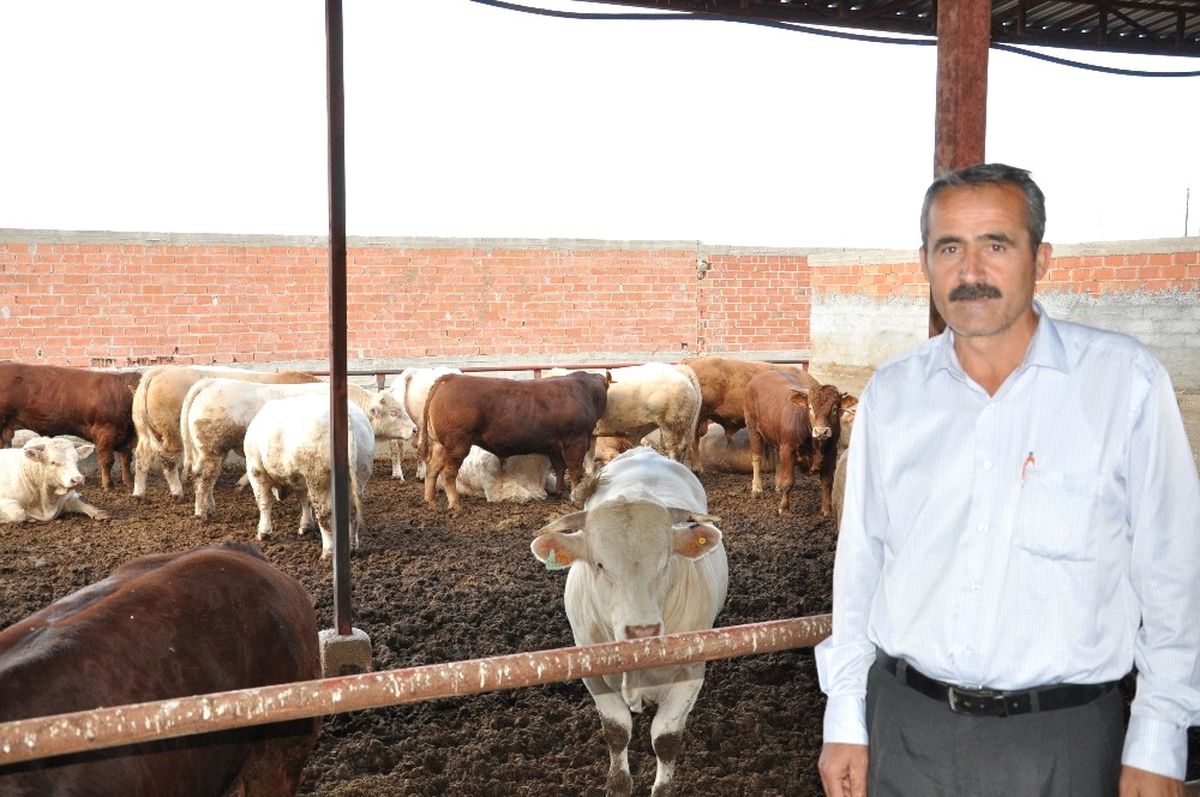 Ergüç: "Karkas Et İthalatı Besiciyi Zor Duruma Soktu"
