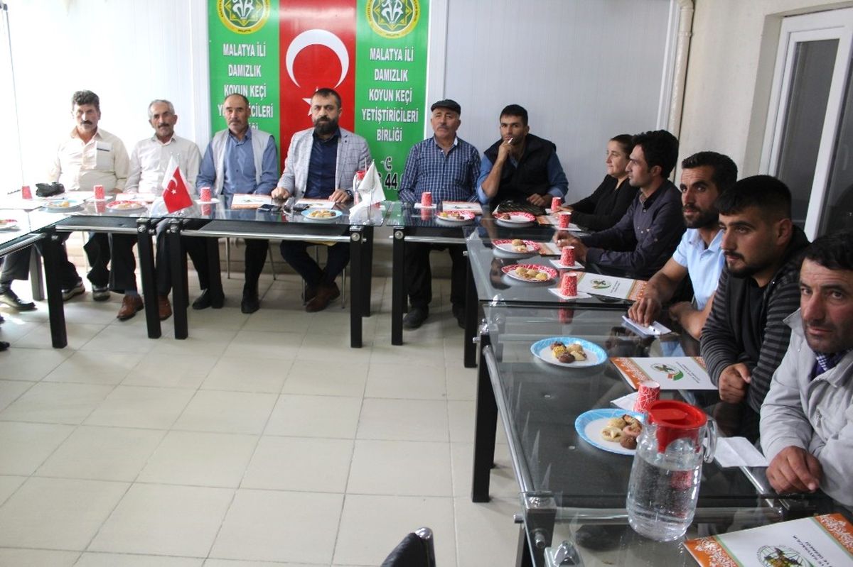 Koyun Kırkım\' Kursu Başladı.
