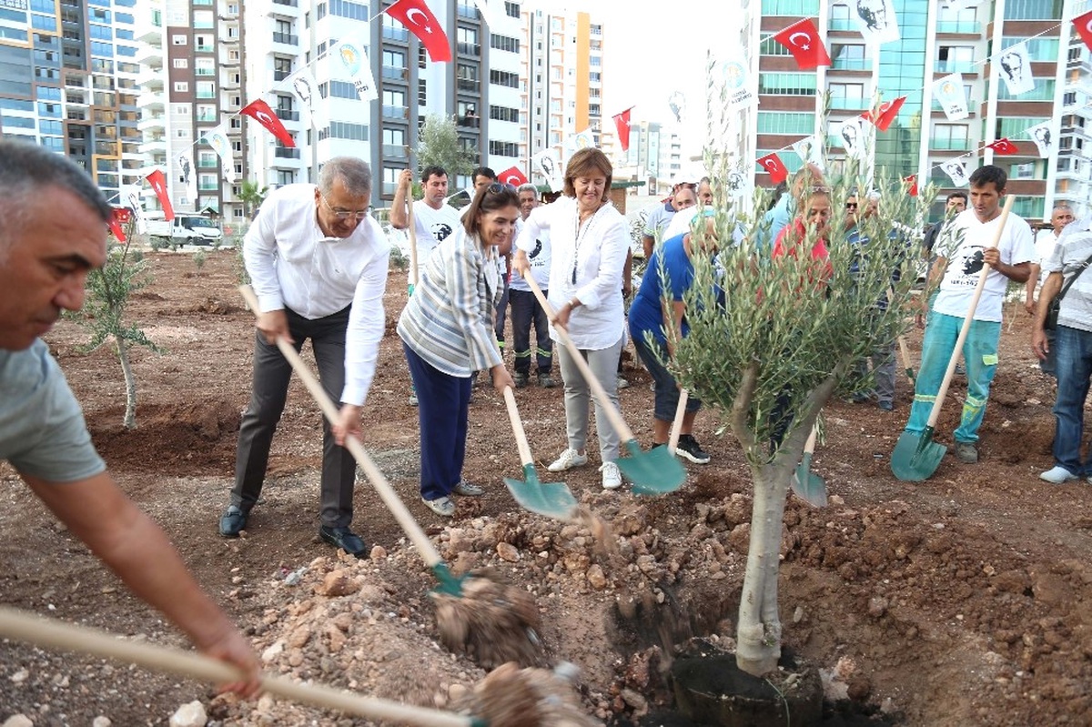 Mezitli\'nin Zeytinli Caddesi Zeytin Fidenlarıyla Donatıldı