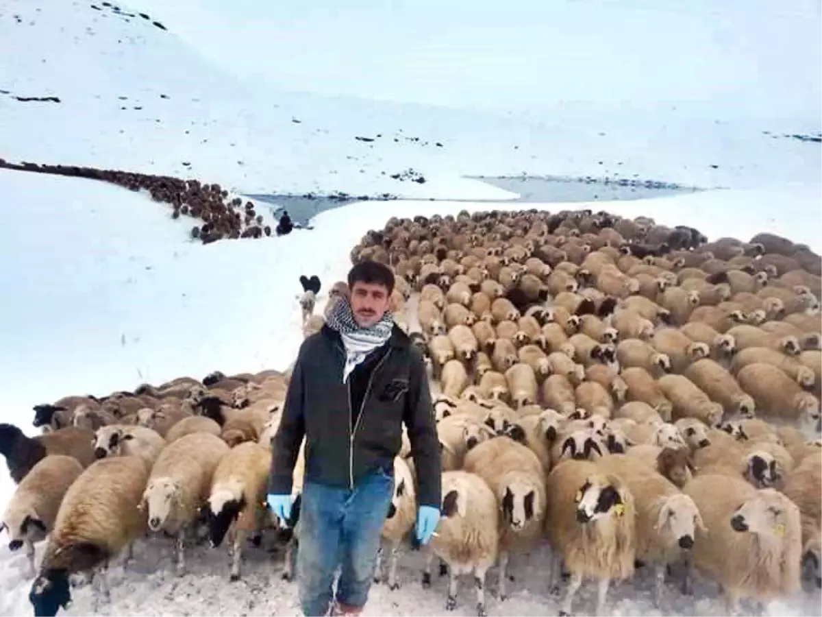 Önce Emek Diyorlar