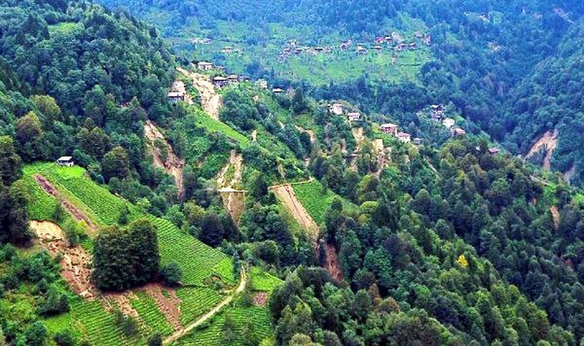 Rize\'de Heyelanda Kapısı Toprakla Kapanan Eve Pencereden Giriliyor (2)