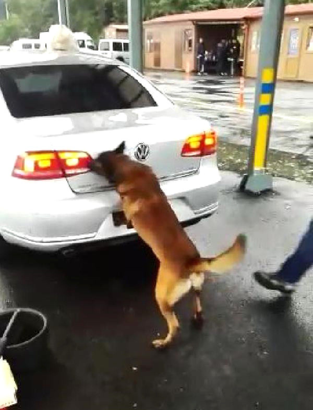 Rize\'de Otomobilin Stepnesinden Uyuşturucu Çıktı