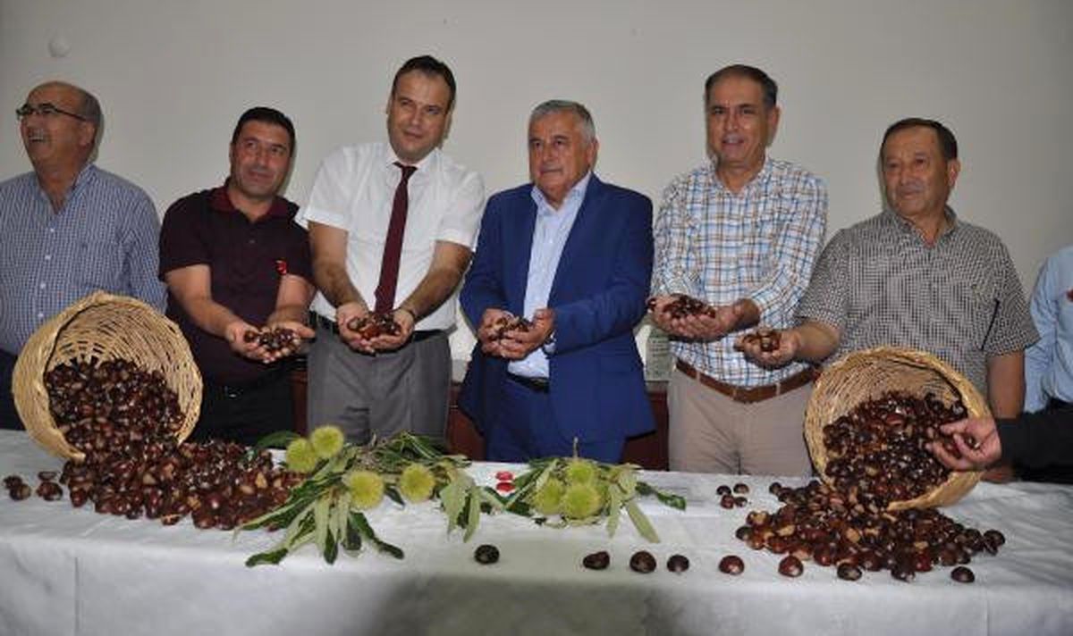 Aydın\'da İlk Kestane Hasadı