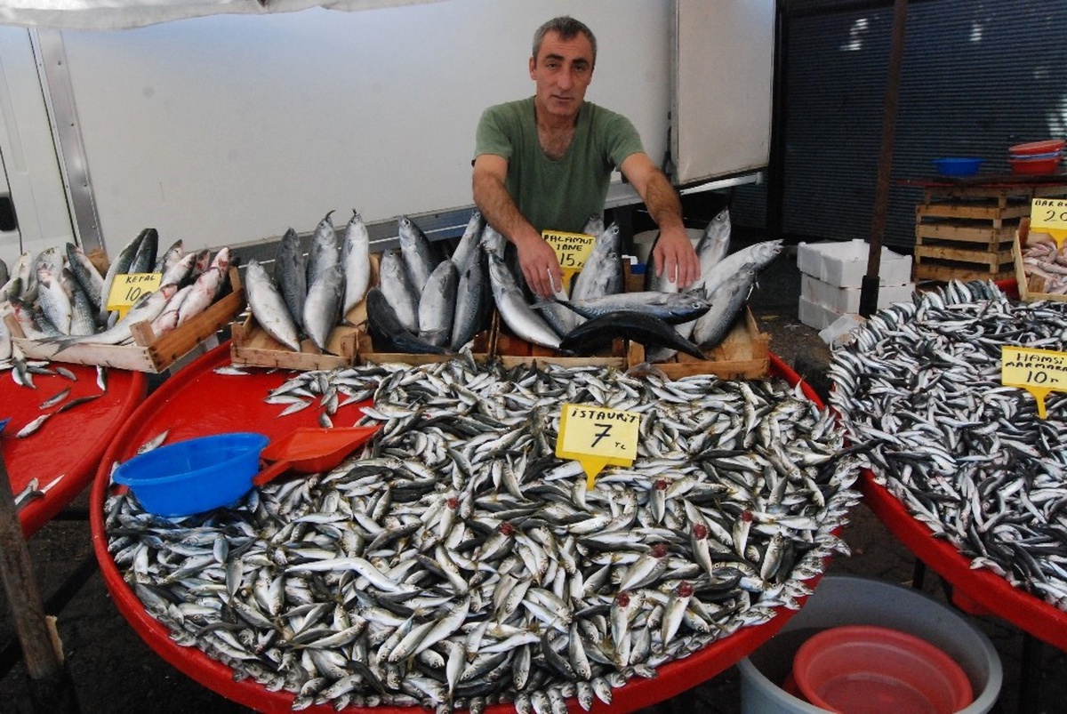 Bayramiç\'te Balık Fiyatları Yüksek Seyrediyor