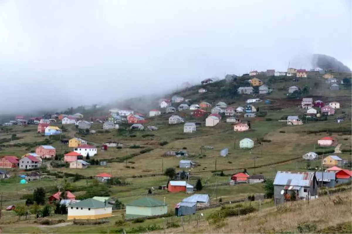 Doğu Karadeniz Yaylalarında 4 Bini Aşkın Kaçak Yapı Yıkılacak (2)