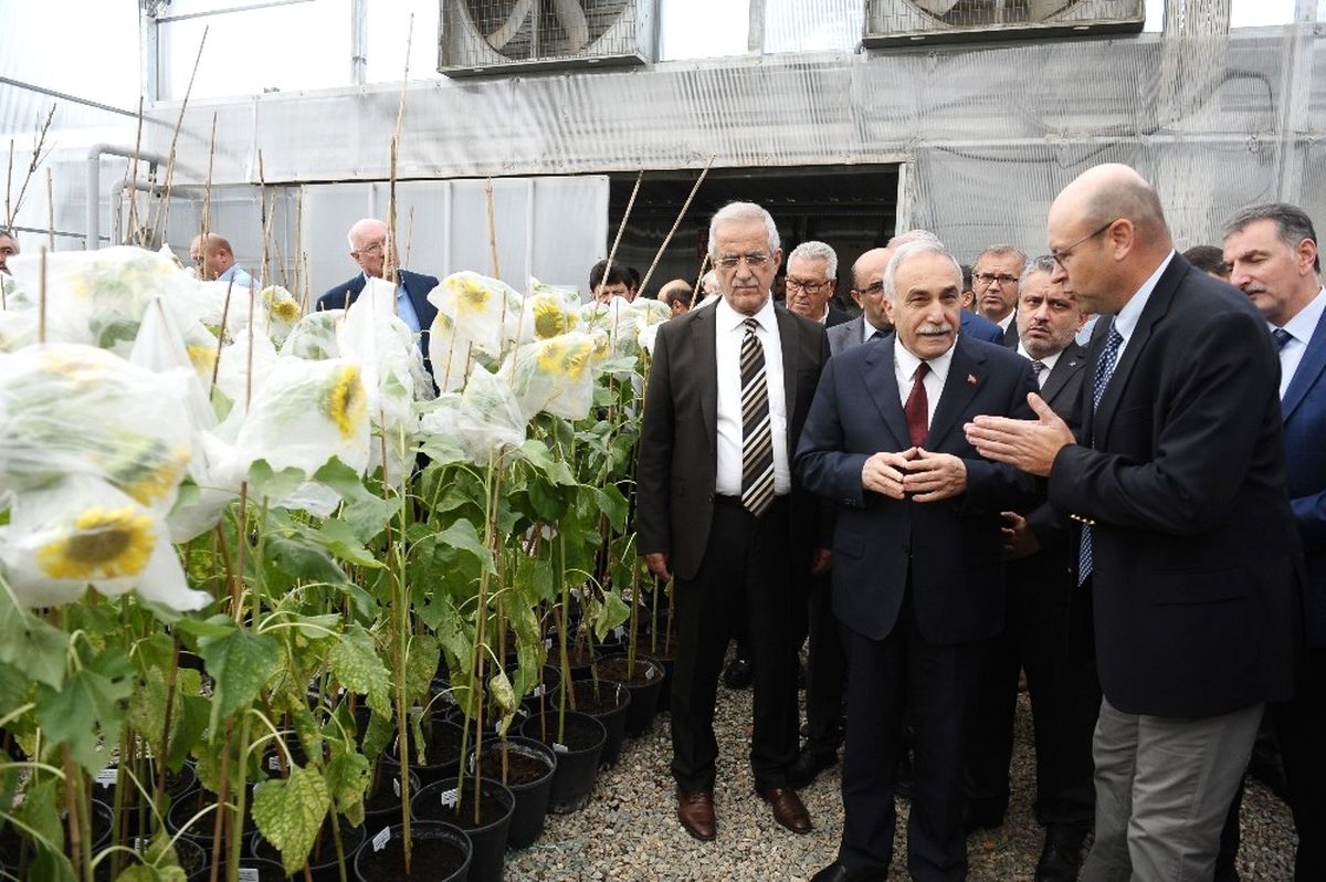 En Verimli Tohumlar Bursa\'da Üretiliyor