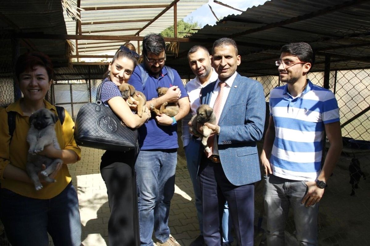 Er: "Hayvanları Sevenler, Yaşamayı Severler"