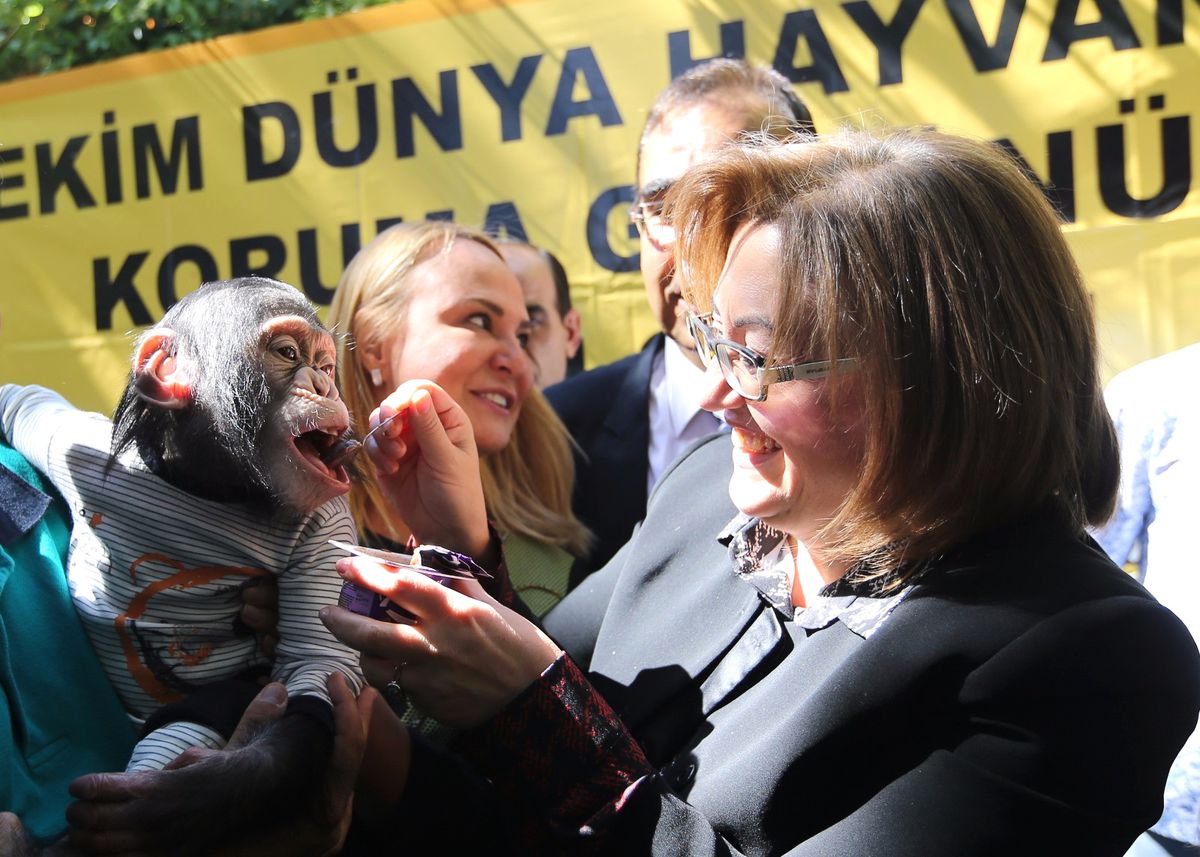 Fatma Şahin\'den "Can ve Cesur"A Özel İlgi