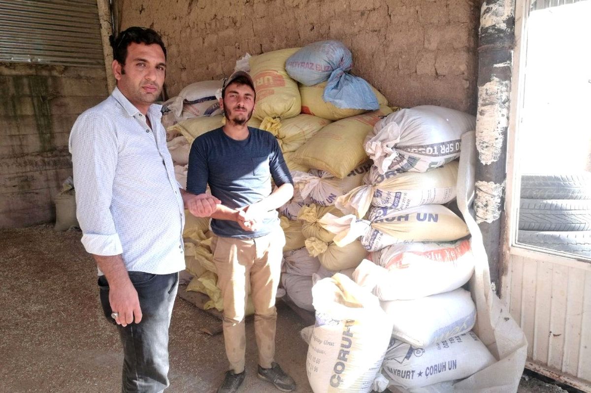 Gümüşhane\'de Kinoa\'nın İlk Hasadı Yapıldı
