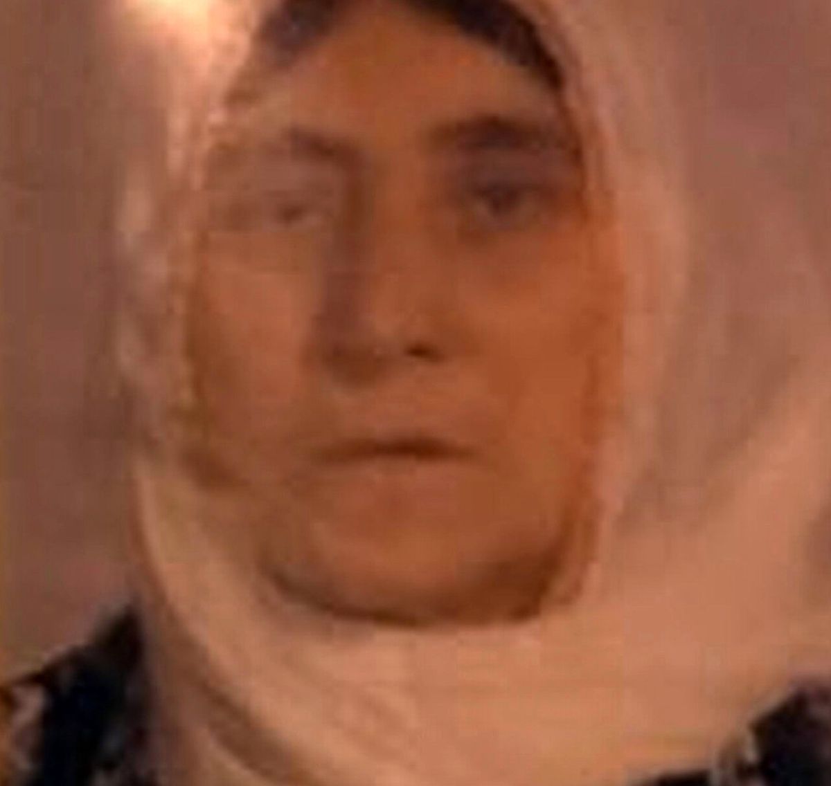 İş Bul\' Diyen Annesini 40 Yerinden Bıçaklayarak Öldürdü