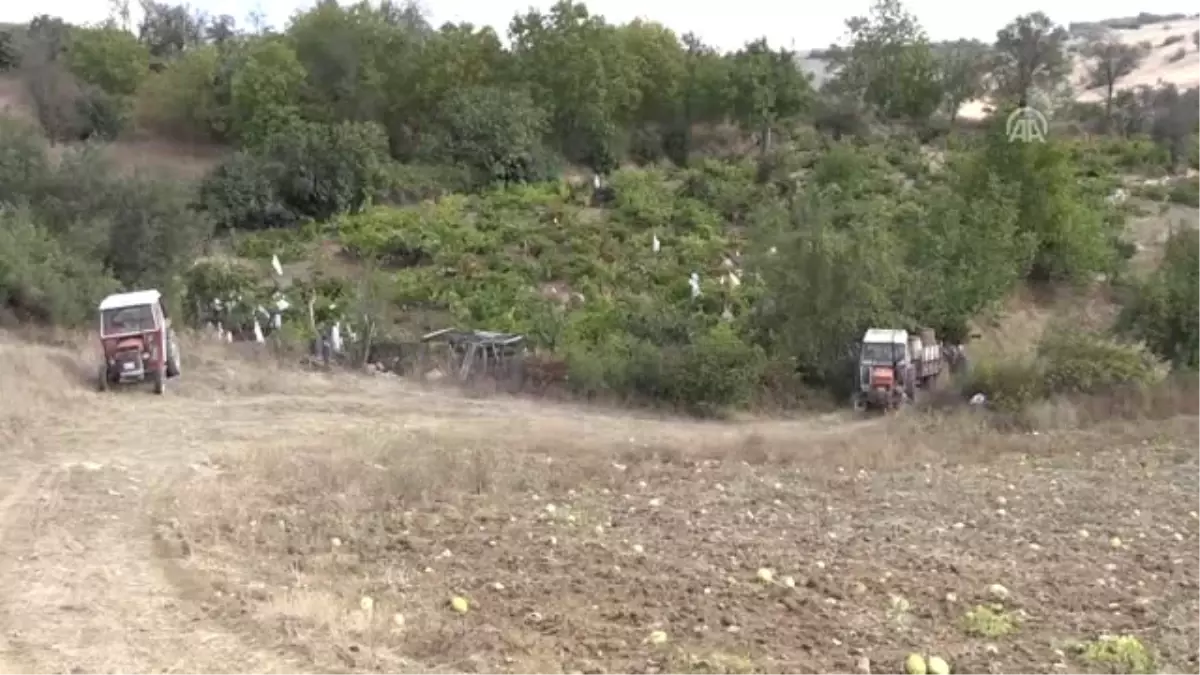 Mahallelinin "Tatlı" Dayanışması