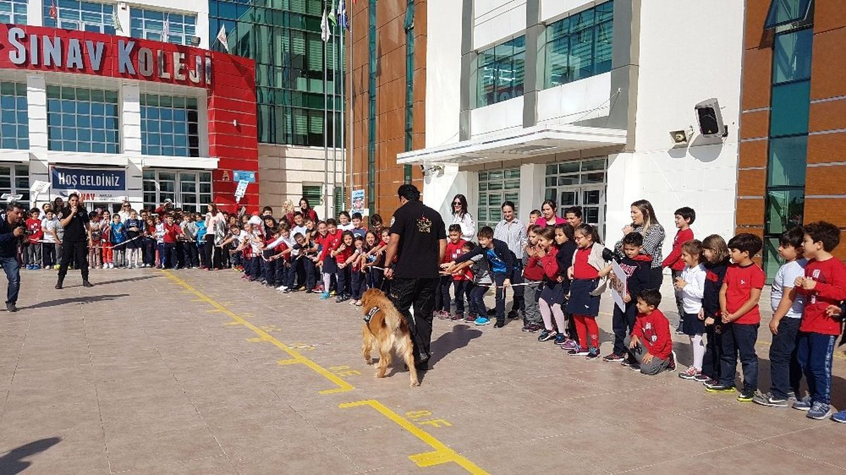 Miniklerden K9\'lara Yoğun İlgi
