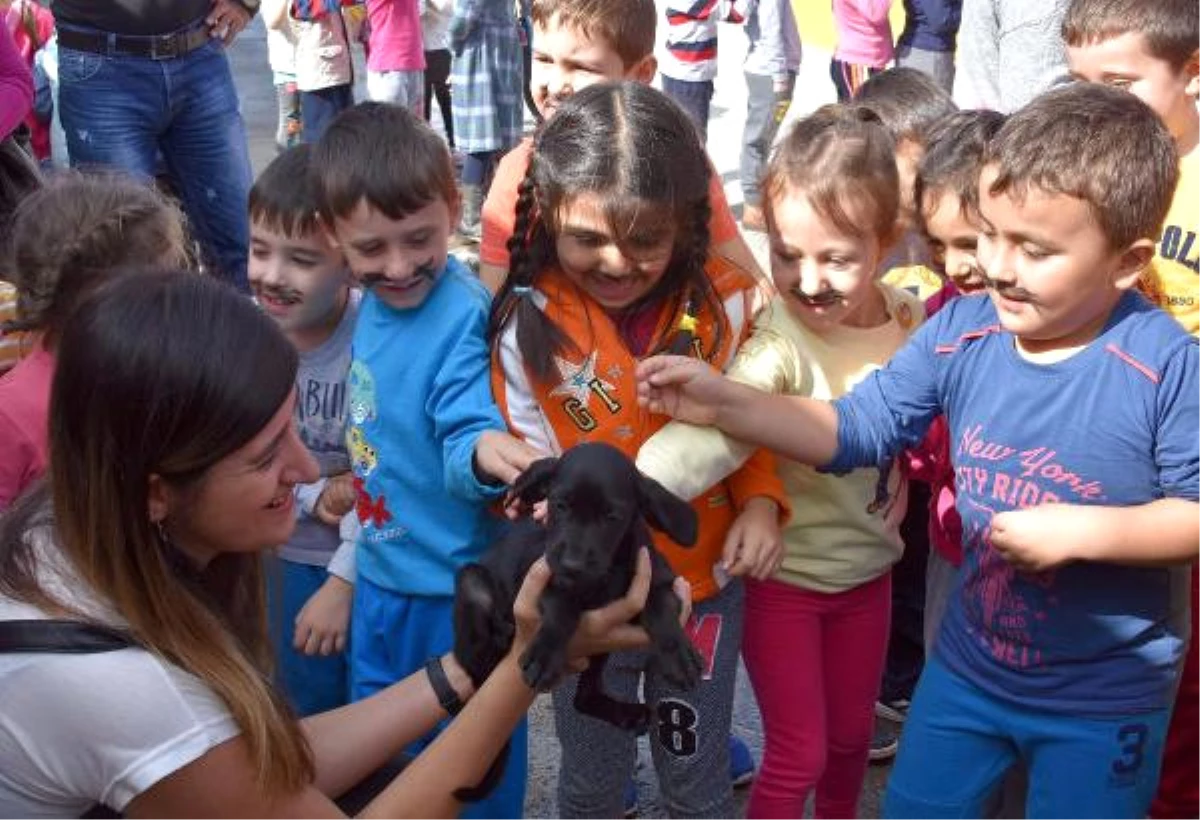 Öğrenciler, Bakımevindeki Hayvanları Ziyaret Etti