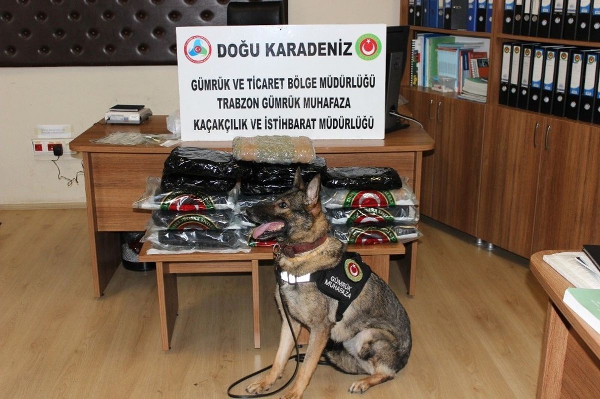 Trabzon Havalimanı\'nda Piyasa Değeri 307 Bin TL Olan 15 Kilo 371 Gram Esrar Ele Geçirildi