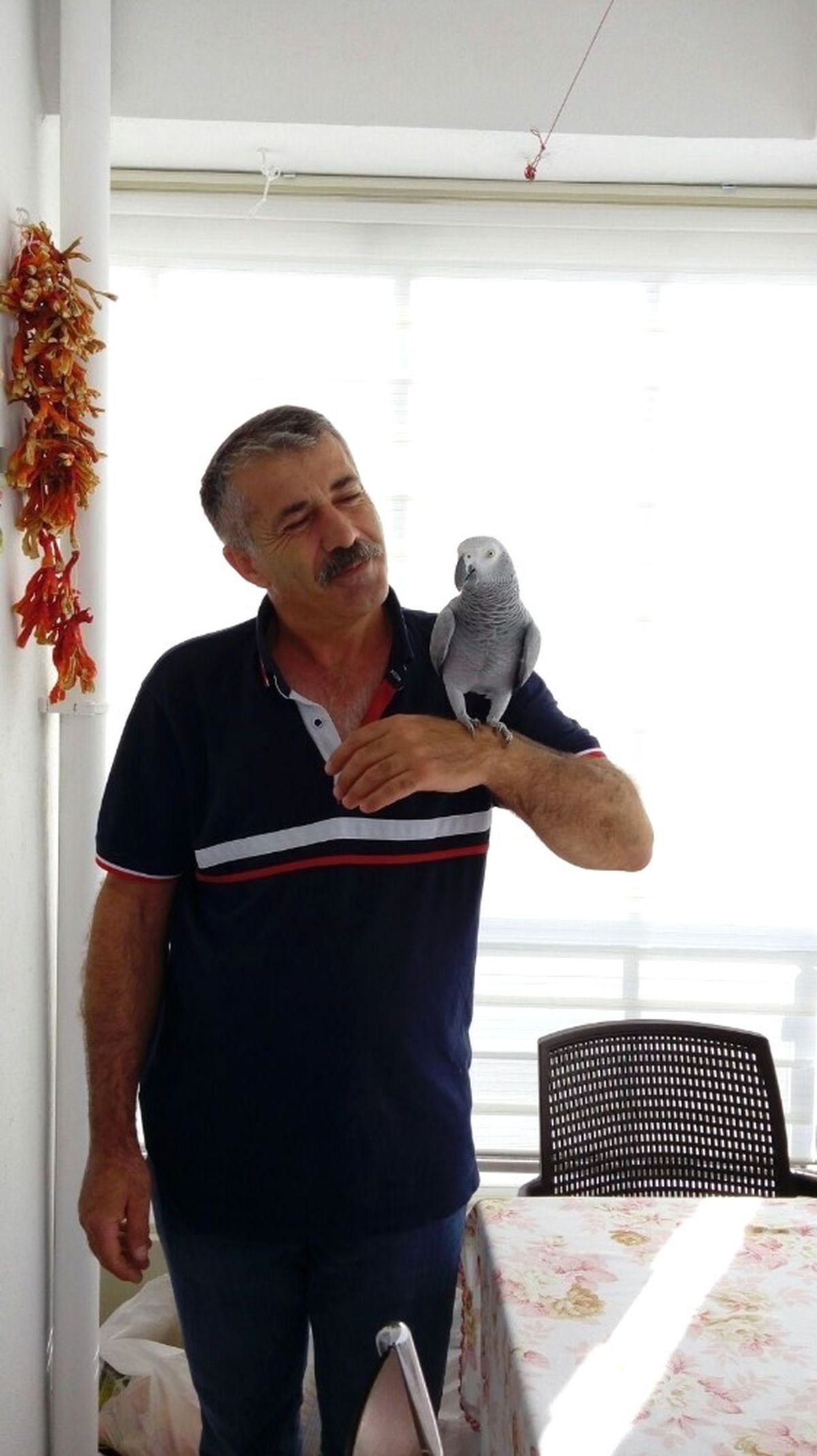 Yakup" Adlı Papağanını Bulana Sahibi Para Ödülü Verecek