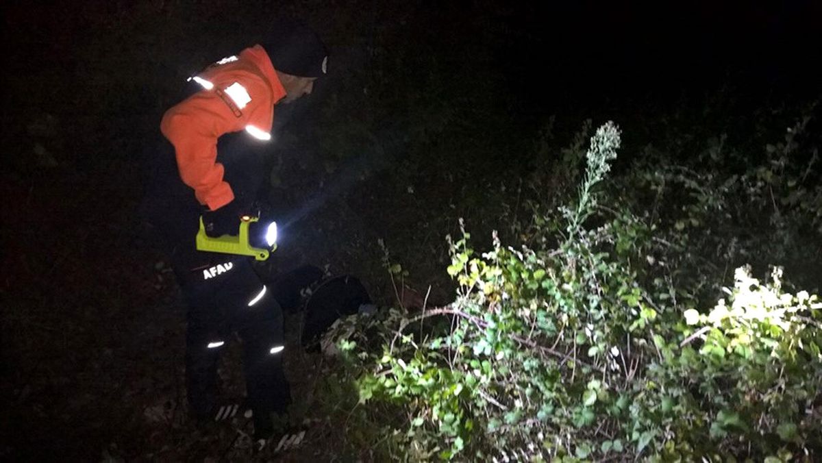 Alzeimer Hastası Adam 30 Saat Sonra Ormanda Bulundu