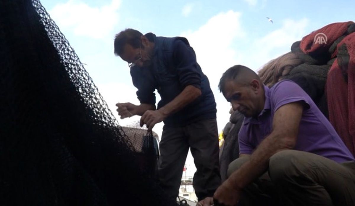 Balıkçıların Yeni Umudu; Lüfer