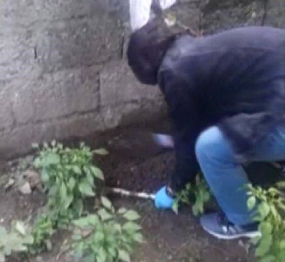 Evin Her Yerinden Silah Çıktı