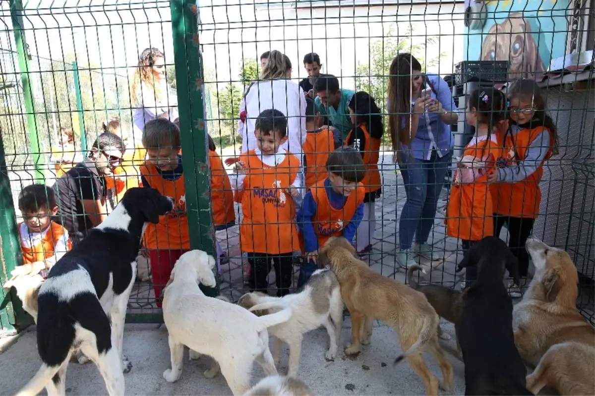 Hayvanları Koruma Gününde Miniklere Özel Etkinlikler