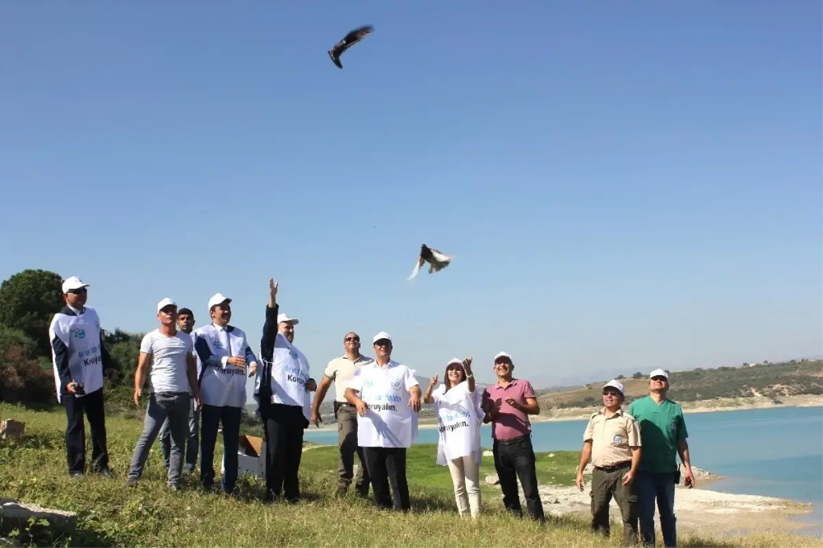 Mersin\'de Tedavileri Tamamlanan 26 Yaban Hayvanı Doğaya Bırakıldı