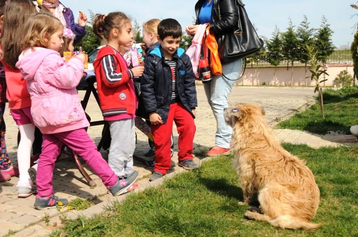 Tekirdağ\'da "Mutlu Pati" Şenliği