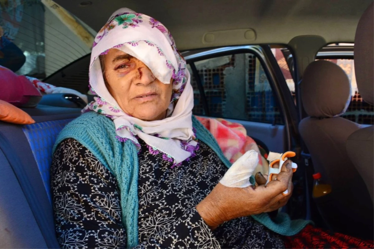 Yaşlı Kadının Bulduğu Kutu Elinde Bomba Gibi Patladı