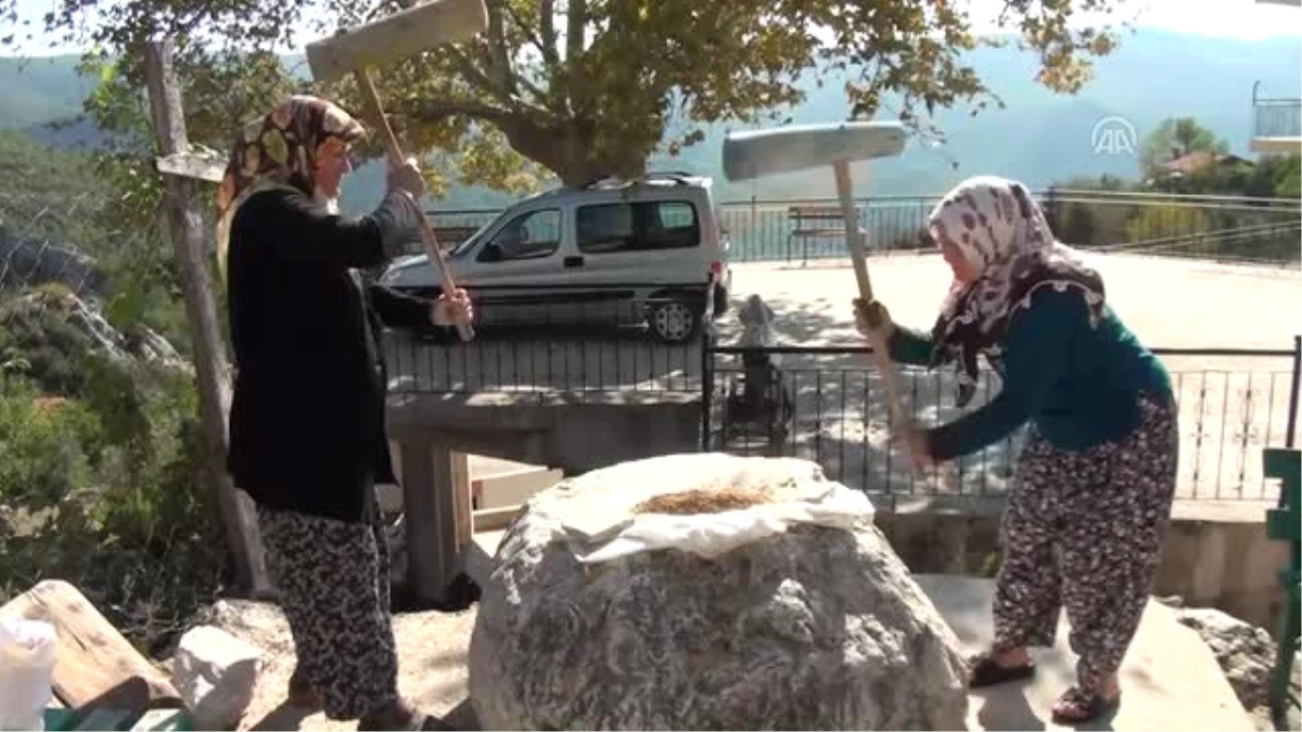 Antalya\'da Asırlık Buğday Dövme Geleneği