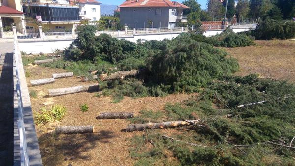 Meteorolojik Ölçümleri Daha İyi Yapmak İçin Ağaçları Kestiler