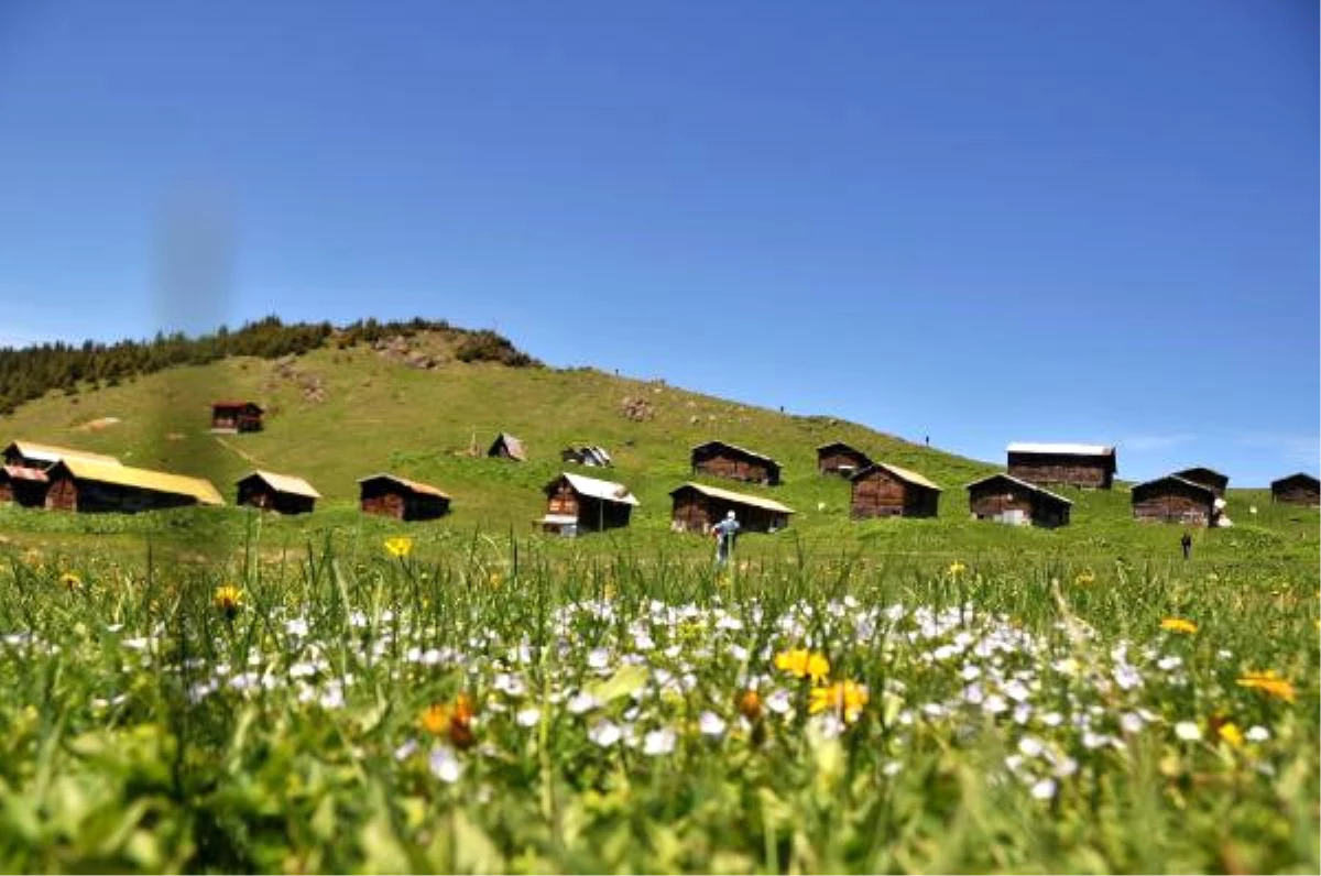 Rize\'de Özenle Korunan Yayla