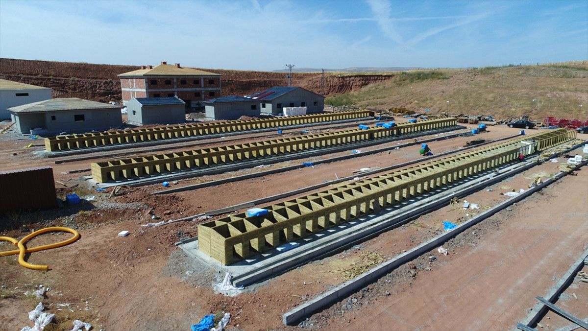Hayvan Kampüsü" Misafirlerini 5 Yıldızlı Hizmetle Ağırlayacak