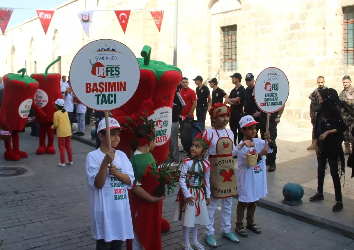 Şanlıurfa\'da İsot Festivali Başladı