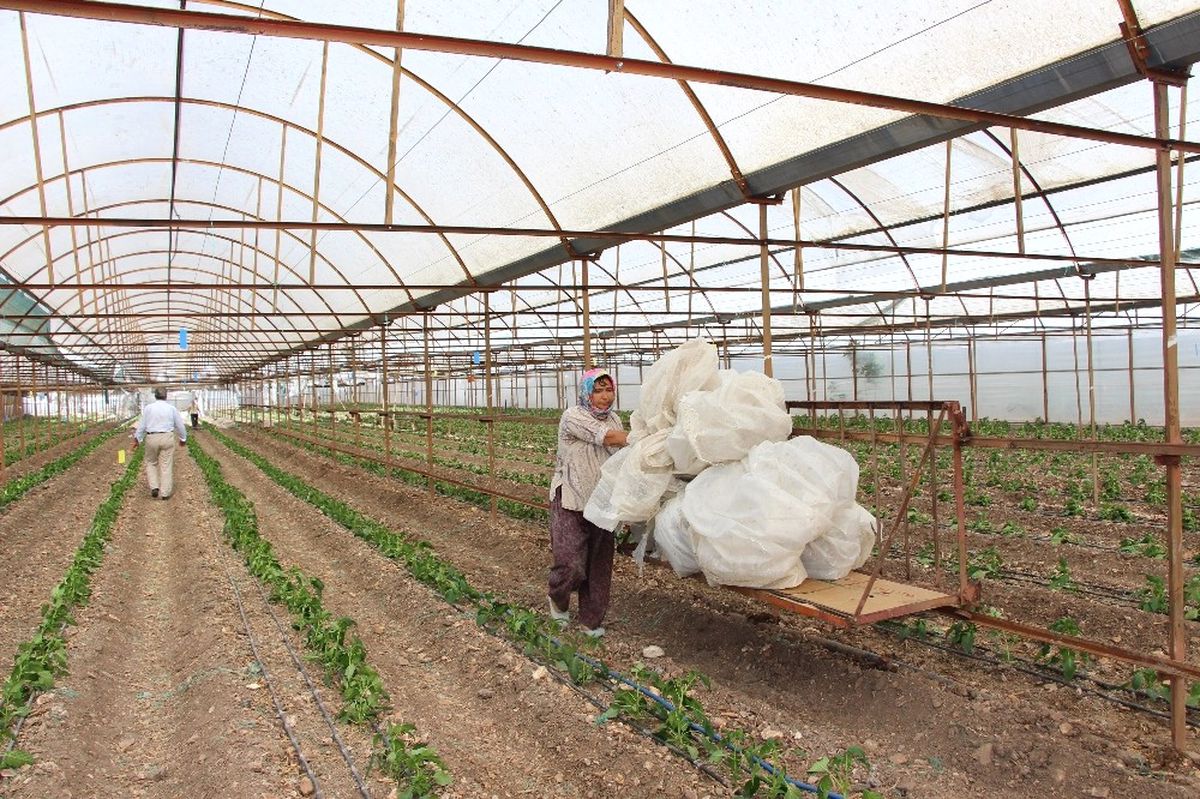 Antalya\'da Hortum Seraları Yerle Bir Etti
