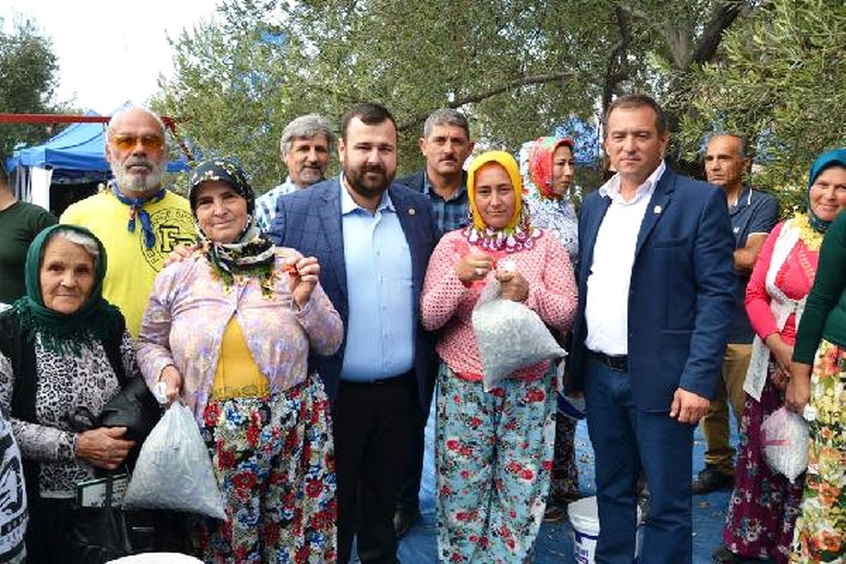 En Fazla Zeytini Topladılar, Ödülü Kaptılar