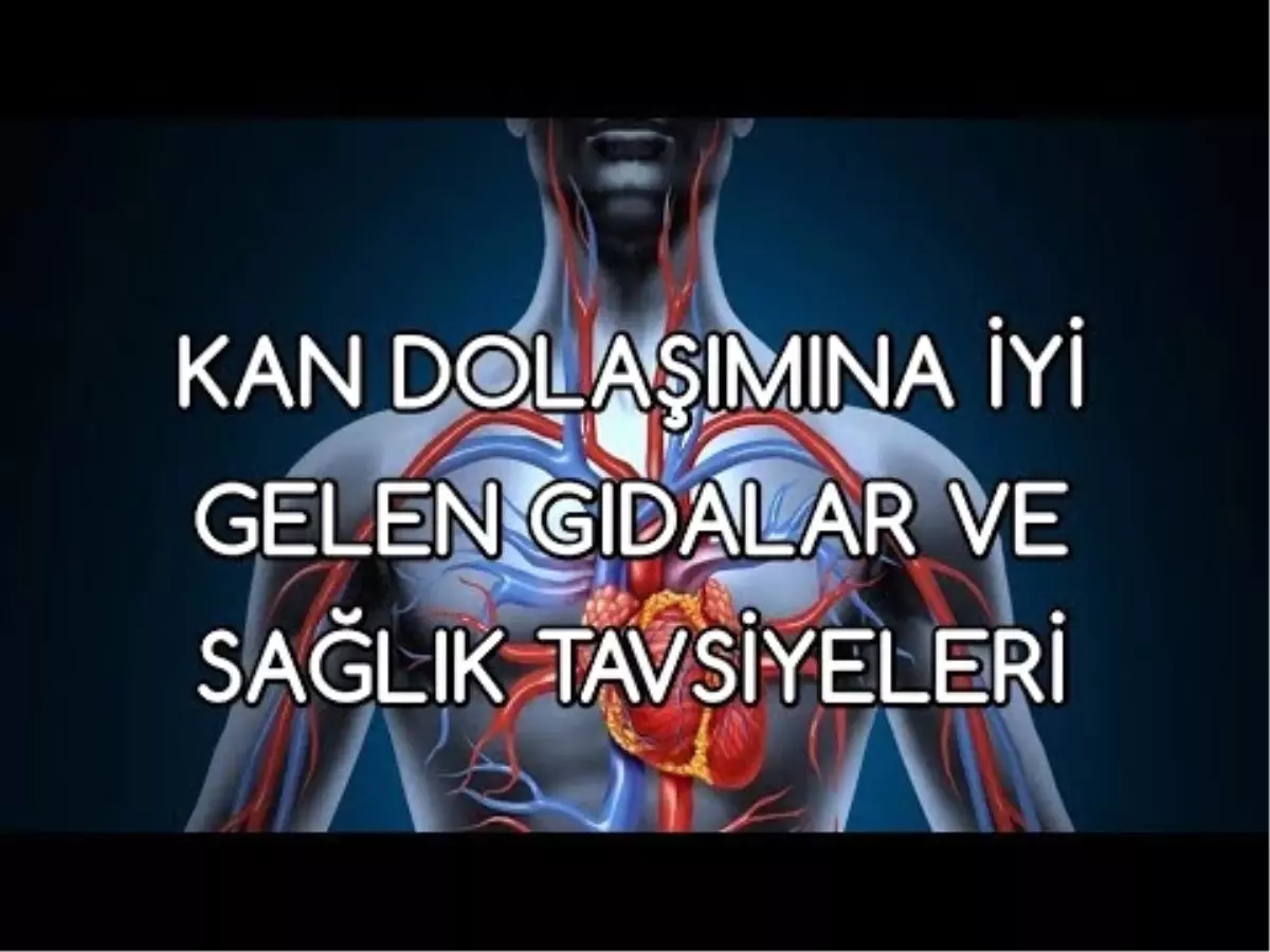 Kan Dolaşımına İyi Gelen Gıdalar ve Sağlık Tavsiyeleri