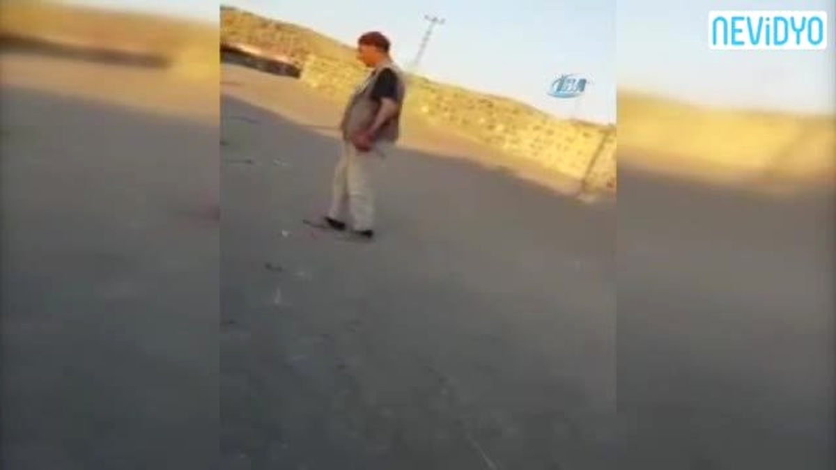 Yavru Köpeğe Eziyet İnsanları Ayağa Kaldırdı (+18)