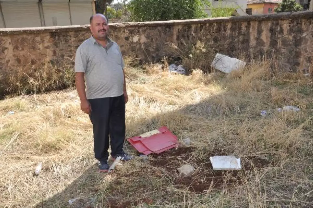 Aile Hekiminin Bulduğu Hasta Tilki Telef Oldu