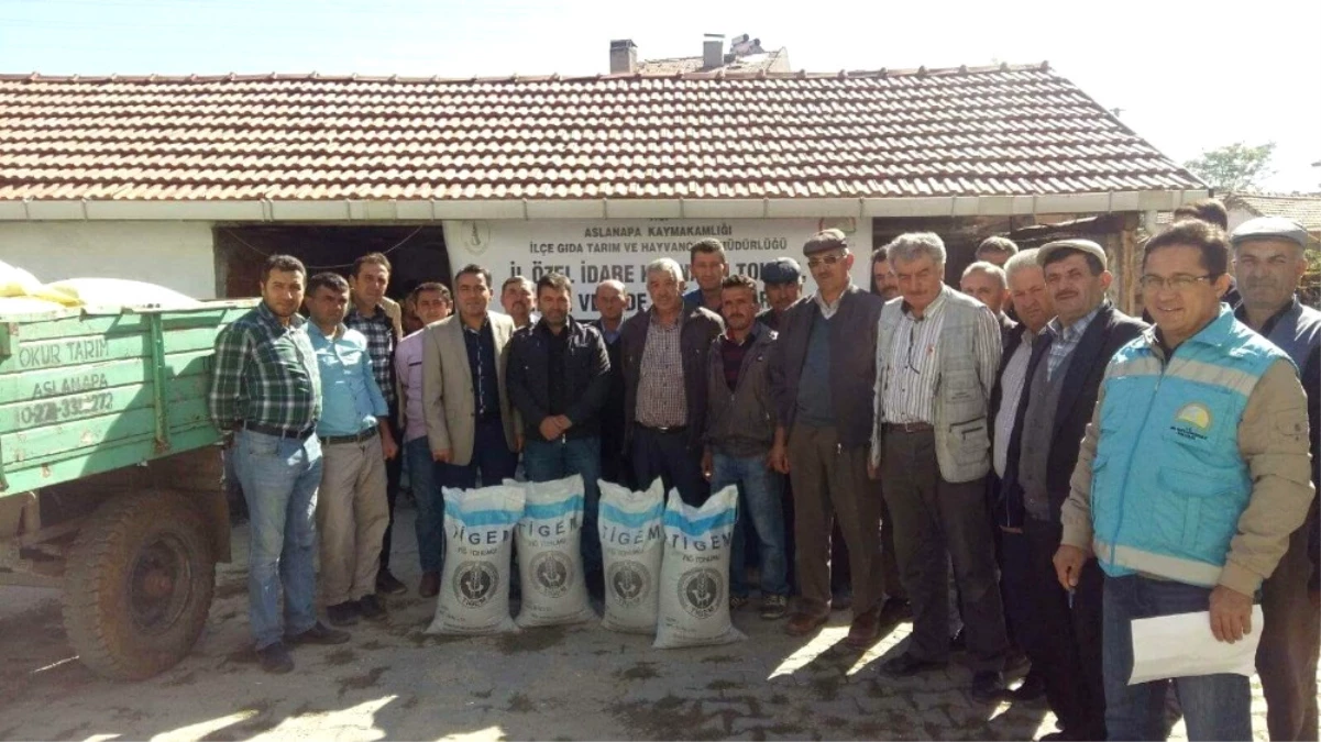 Aslanapa\'da 51 Çiftçiye Macar Fiği Tohumu Dağıtıldı
