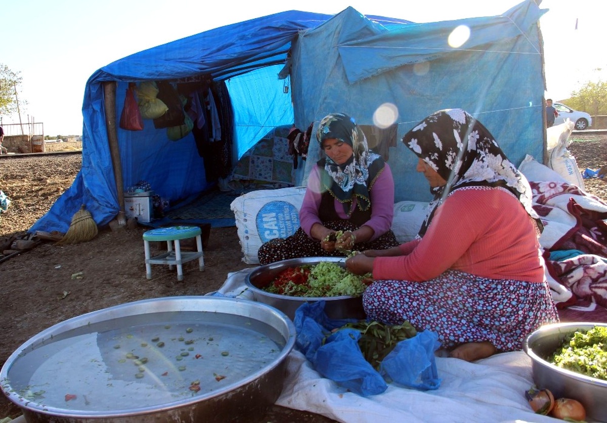 Ekmek Paraları İçin Evleri Sırtlarında Geziyorlar