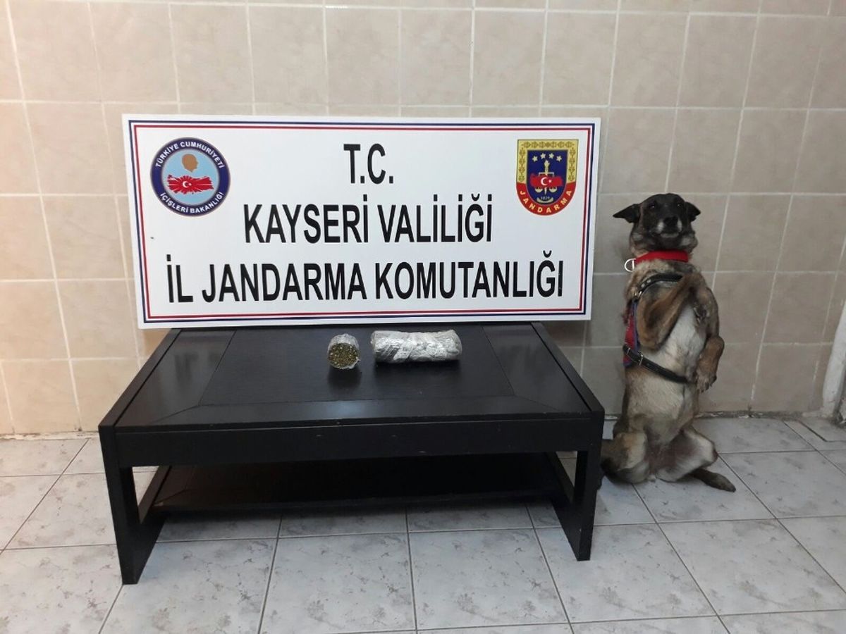 Jandarmadan Uyuşturucu Operasyonu