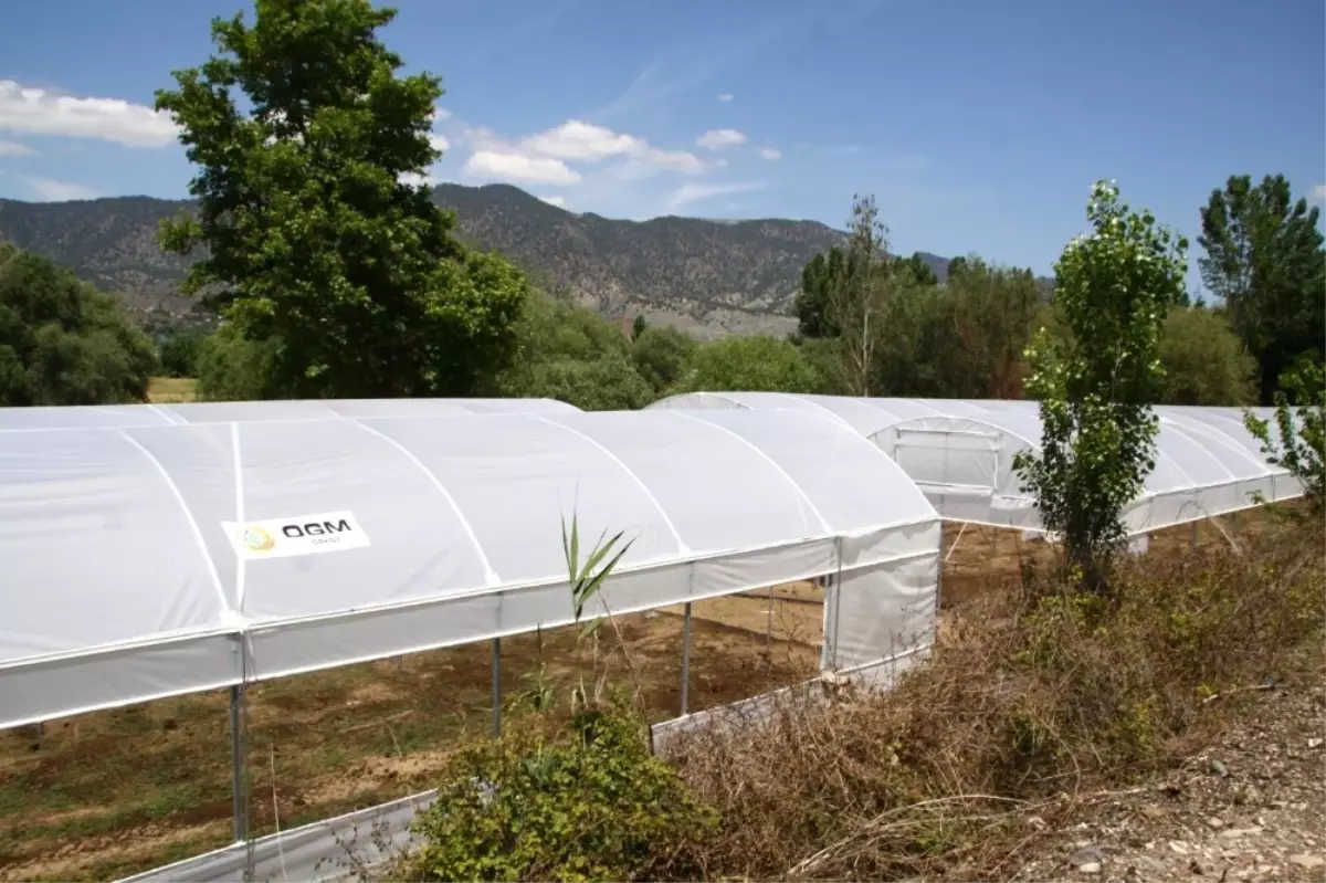 Orman ve Su İşleri Başkanlığı Eskişehir\'deki Orman Mahallelerinde Yaşayan Vatandaşlara Destek