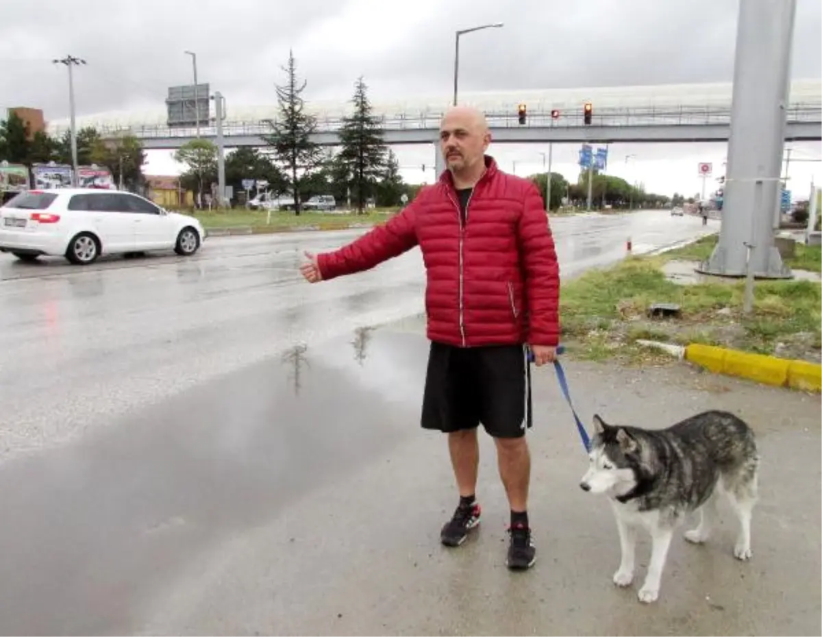 Otobüsler Almayınca Köpeğiyle Yollara Düştü