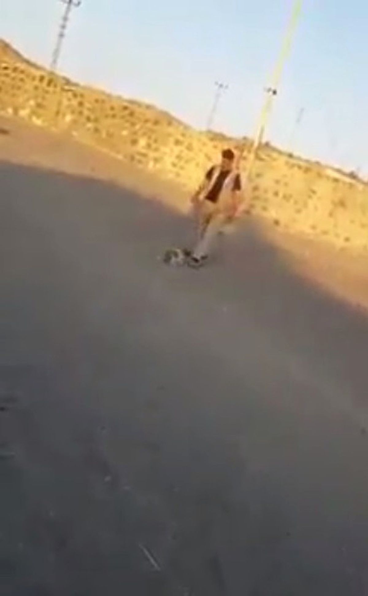 Yavru Köpeği Tekmeleyerek Telef Etti