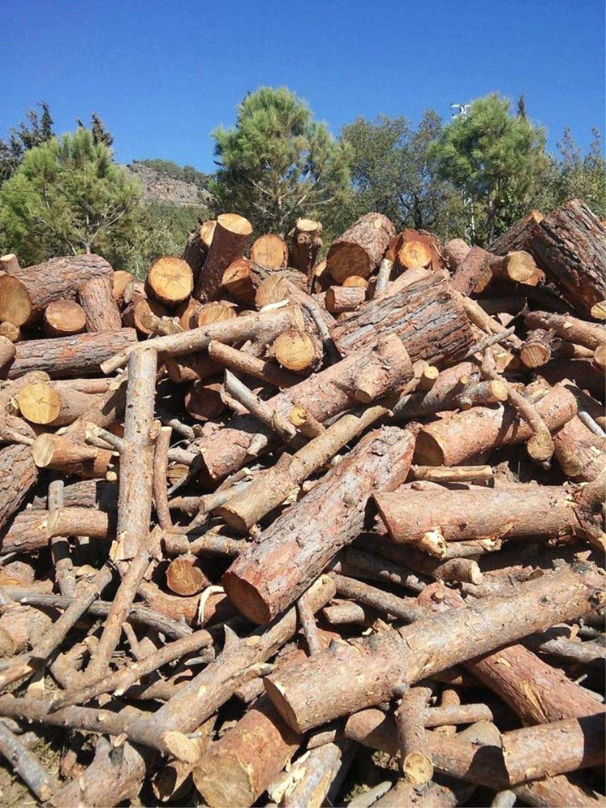 Anamur\'da 100 Ster Kaçak Odun Ele Geçirildi