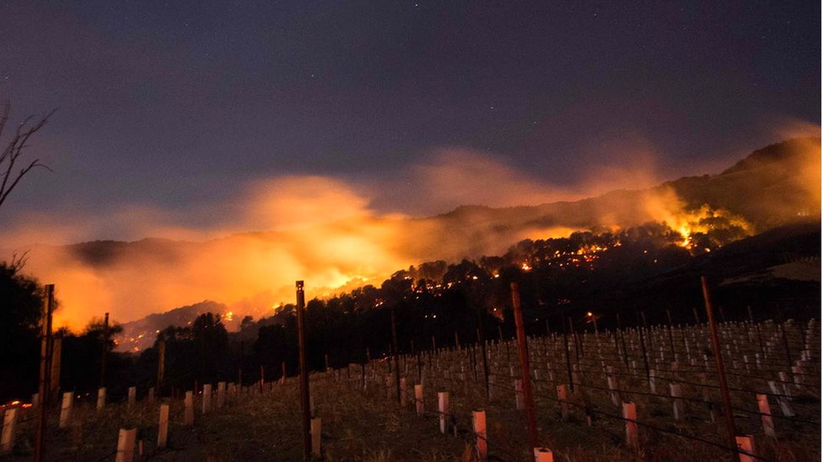 California\'nın Şarap Üretim Bölgesinde Yangınlar
