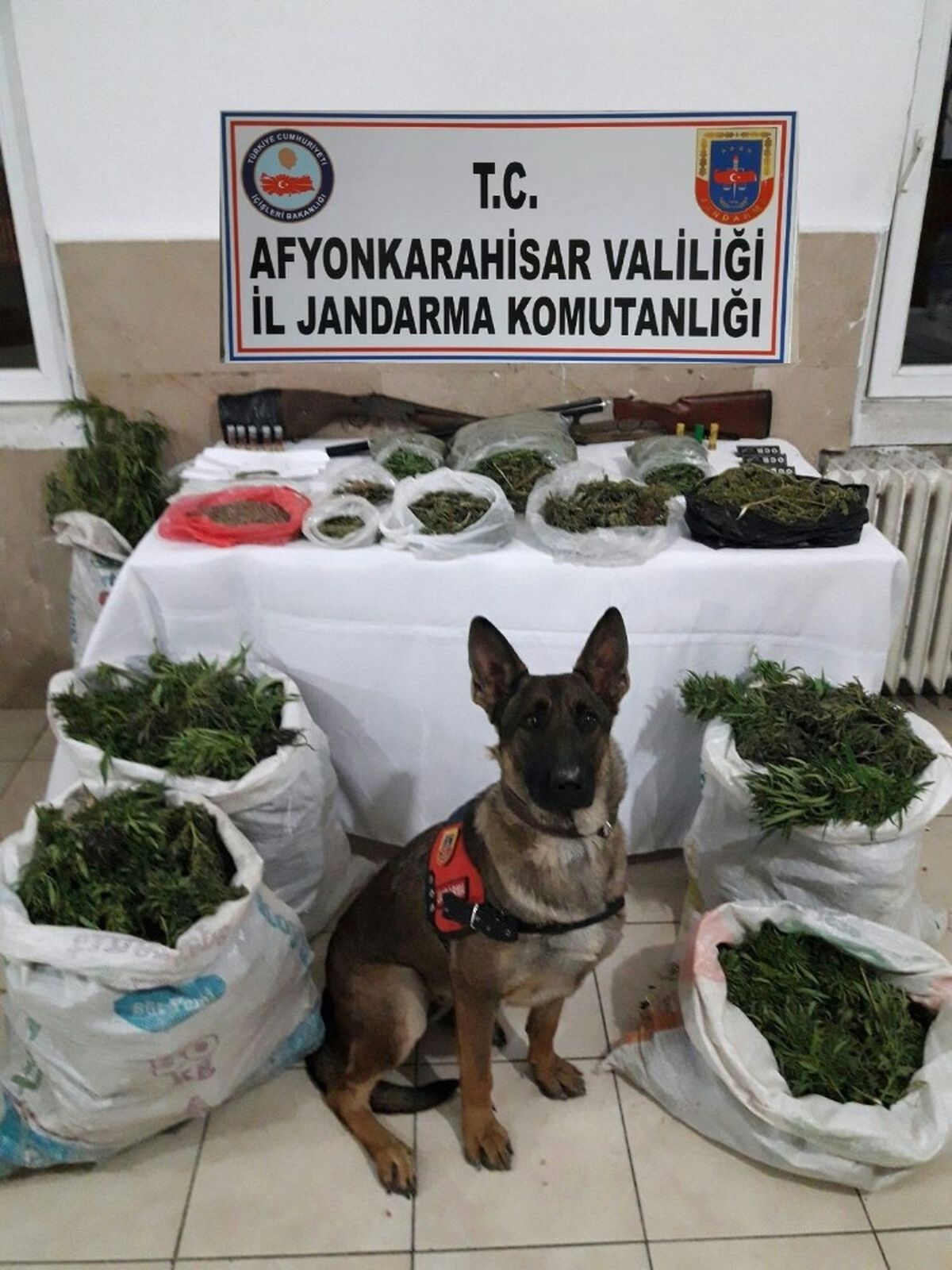 Jandarmadan Zehir Deposuna Baskın
