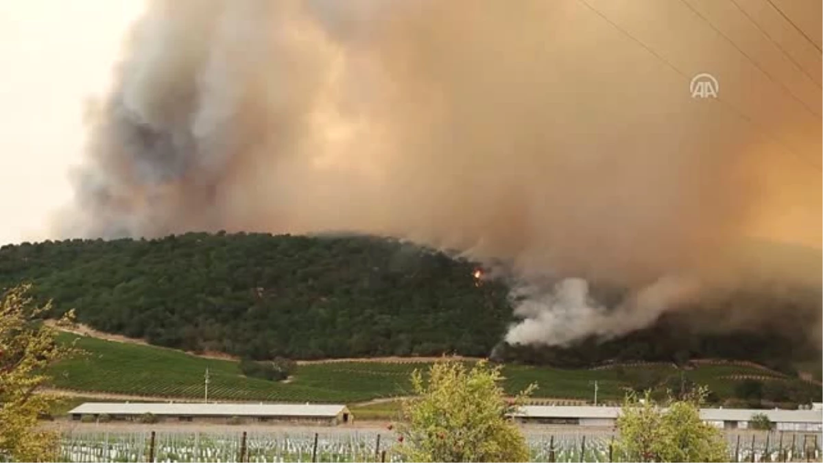 Kuzey Kaliforniya\'daki Yangınlar Büyüyor