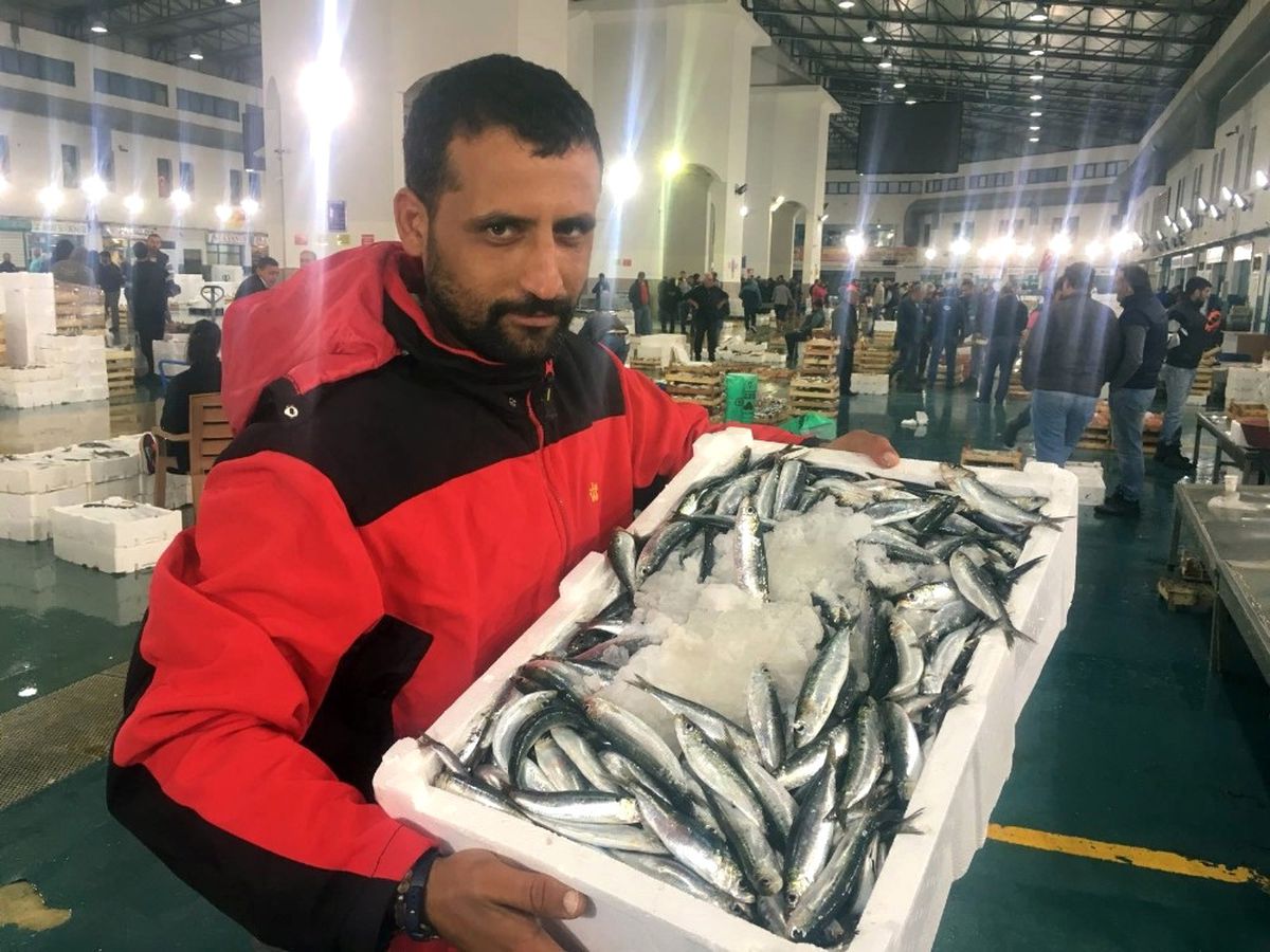 Marmara ve Karadeniz\'de Balığın Az Olması Ege\'de Fiyatları Arttırdı