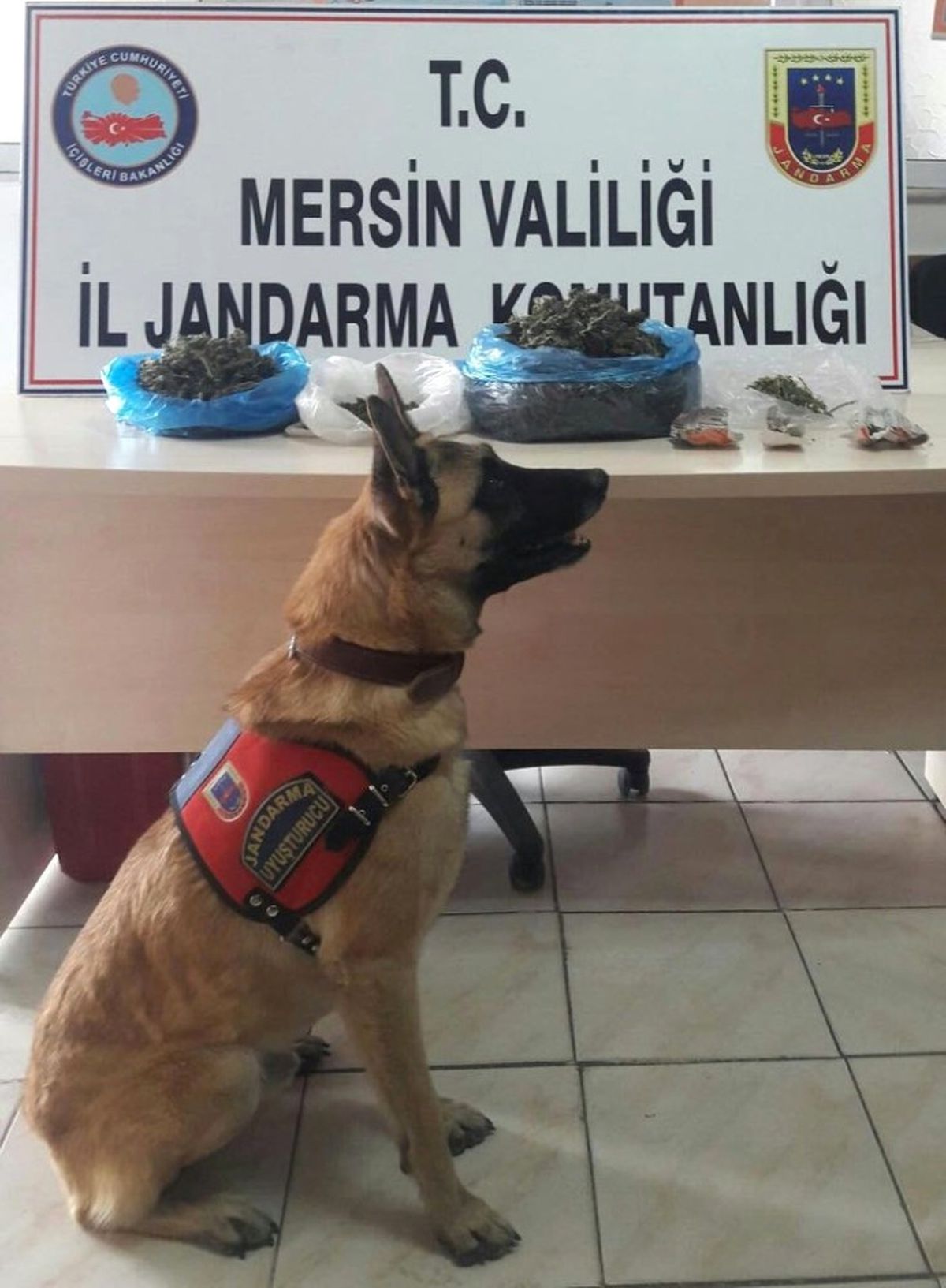 Mersin\'de Uyuşturucu Operasyonu