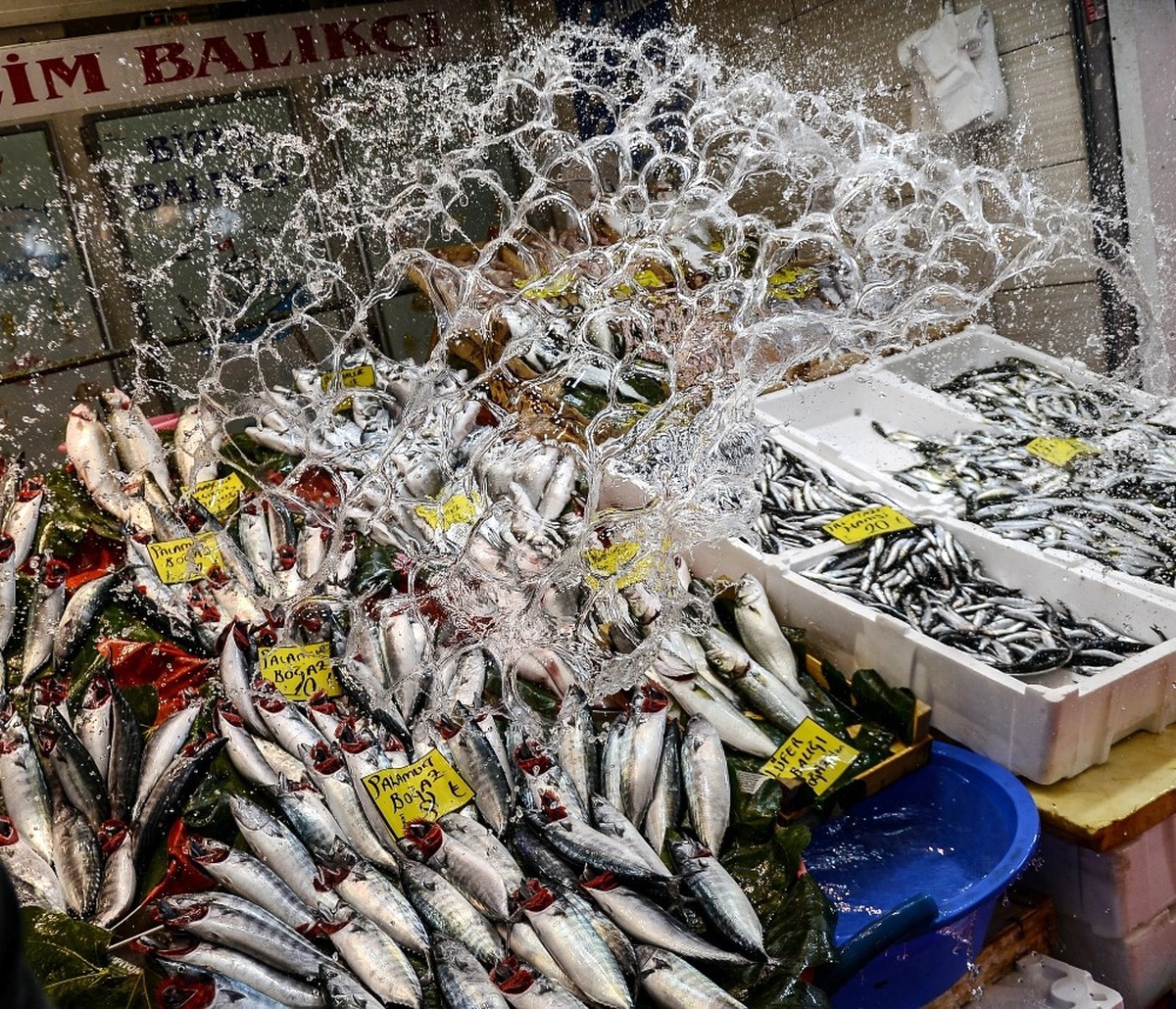 İstanbul\'da Balık Fiyatları Cep Yakıyor